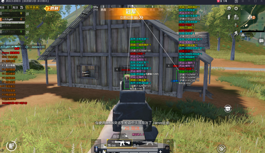 和平精英DDYS辅助